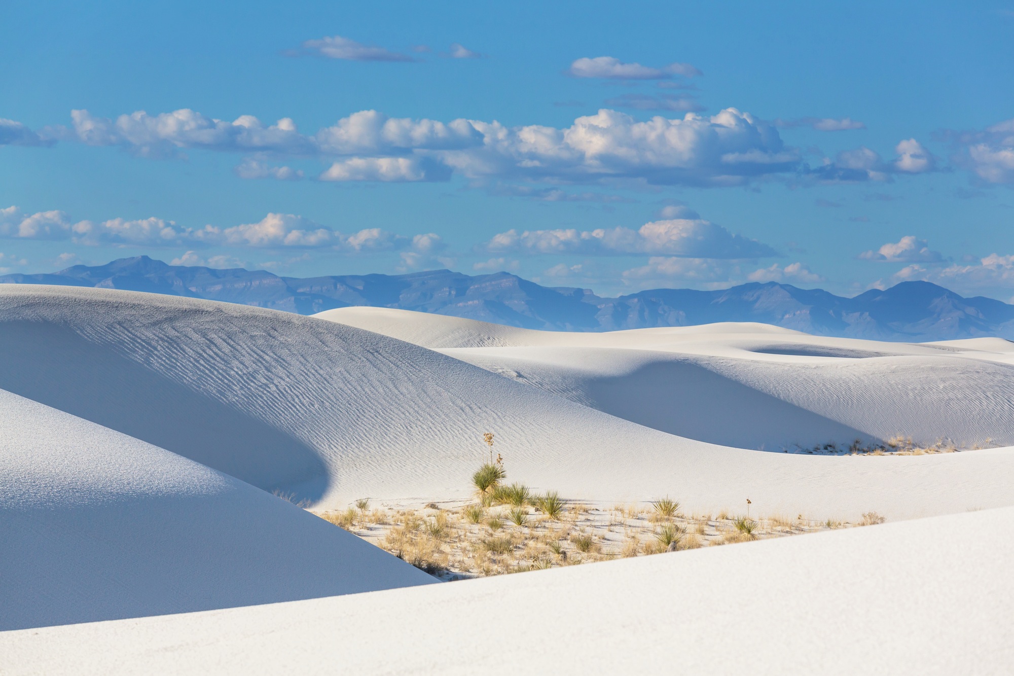 White sands